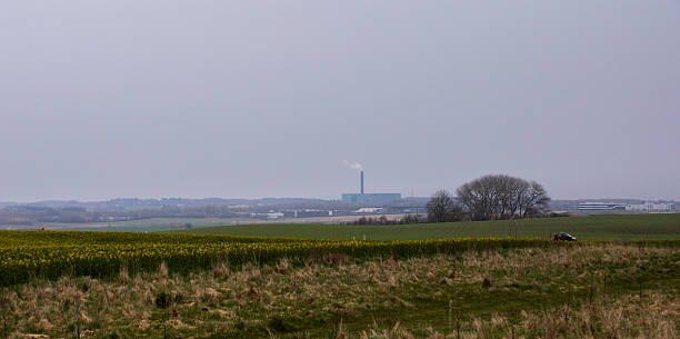 istock Countryside with Mustard Field near Aarhus. 2210140372