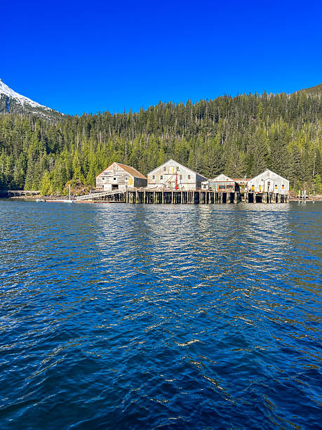 istock Historic Waterfront Buildings Along Alaska's Forested Shoreline 2210144023