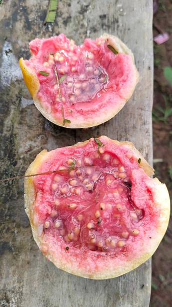 istock rotten red guava fruit 2210144243