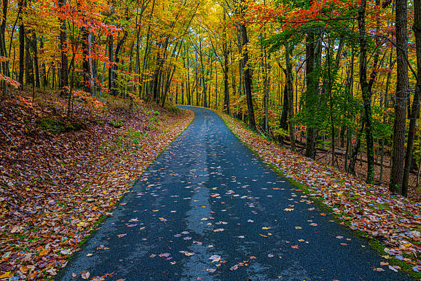 istock Colorful Fall Foliage on Country Road 2210144842