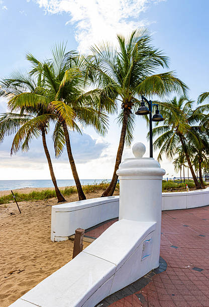istock The Wave Wall And Promenade on Las Olas Beach 2210144960