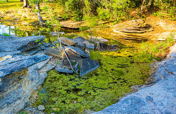 istock Limestone Layers on East Mills Creek 2210145283