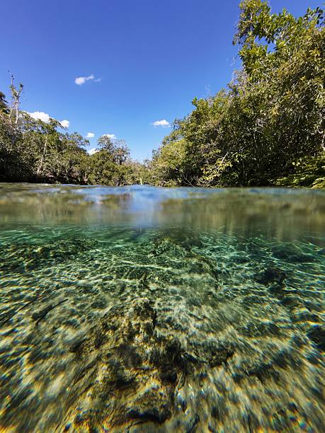 istock view of the sky and under the sucuri river 2210145435