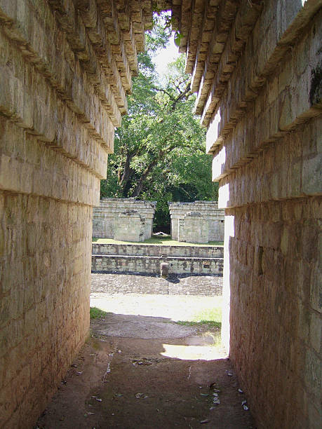 Mayan ruins in Palenque, Chiapas, Mexico. It is one of the best preserved sites, which contains interesting architecture and is popular tourist attraction
