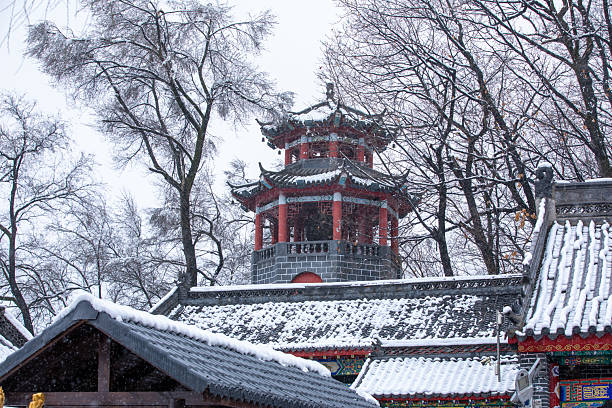 istock Ancient buildings in the snow 2210147839