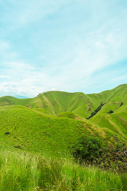 istock Green rolling landscape bathed in light, ideal for environmental and nature imagery. 2210148787