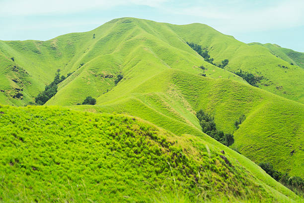 istock Serene rolling green hills under a clear sky, perfect for tranquil nature backgrounds 2210149475