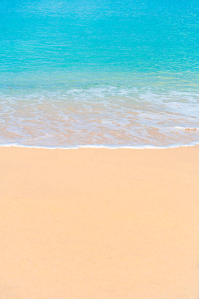 Serene tropical beach with turquoise surf and white sand. Perfect background for summer getaway themes.
