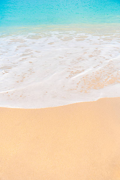 istock Turquoise sea and white sandy beach create a peaceful summer vacation background scene. 2210150579