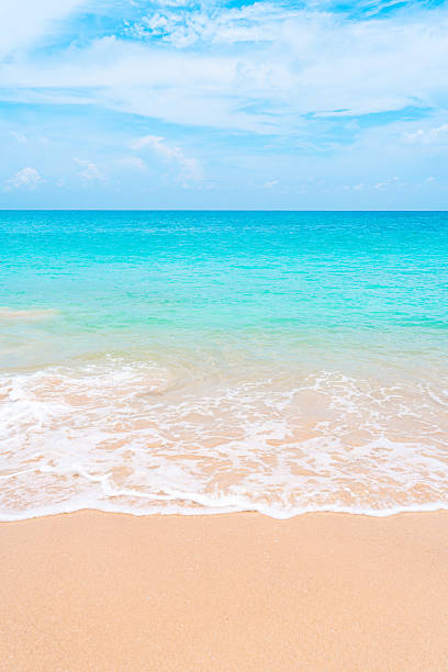 Tranquil summer beach with turquoise surf on soft white sand. Background for tropical getaway themes.