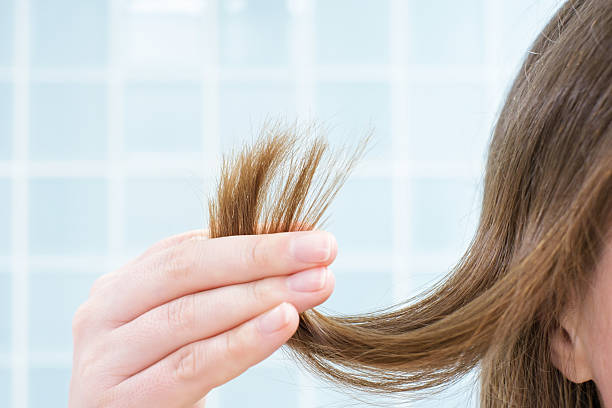 istock Female hand holding hair with split ends on blue tile background. 2210150697