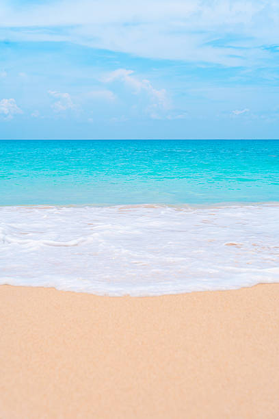 istock White sand beach with gentle turquoise waves under a clear blue sky perfect summer background. 2210150756