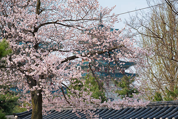 Seoul Korea