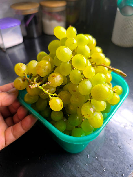 Способы хранения винограда