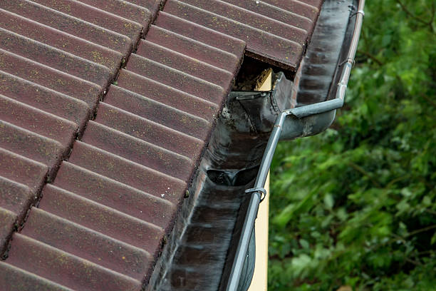 istock Wet roof with red tiles and gutter in which water flows. 2210153337