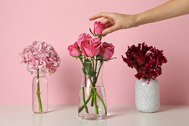 istock Beautiful, fresh flowers on a pink background. 2210155079