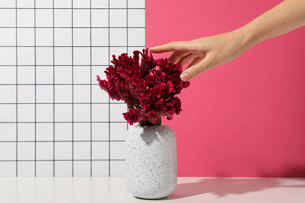 istock Beautiful, fresh flowers on a pink background. 2210156493