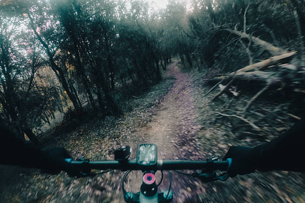 istock Mountain bike riding fast between the woods in a forest landscape 2210161849