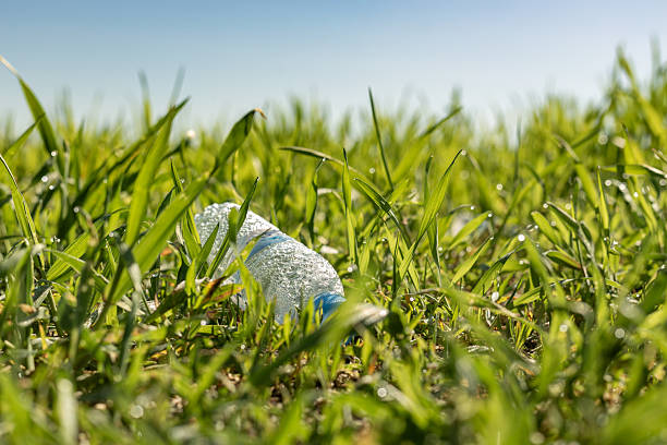 istock Plastic bottle polluting a green field with fresh grass 2210172049