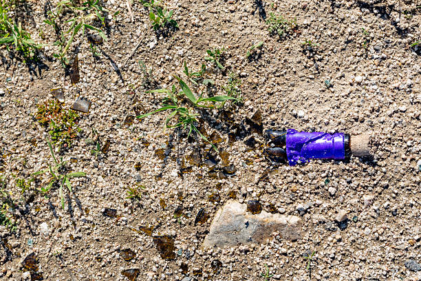 Cigarette bud between cobblestones in the street.