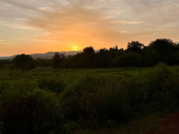 istock Tanzania - Lake Manyara - Sunset 2210181070