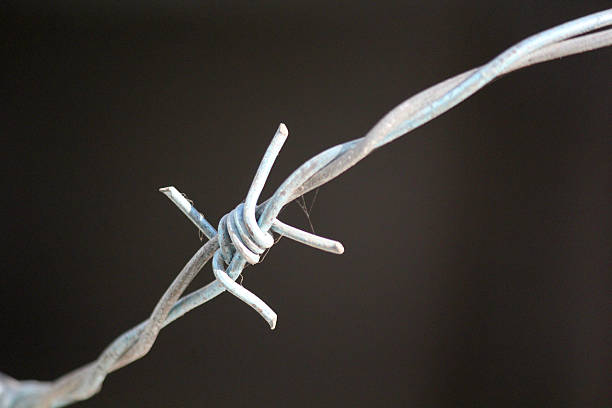 istock Barbed Fencing Wire close up shots 2210181197