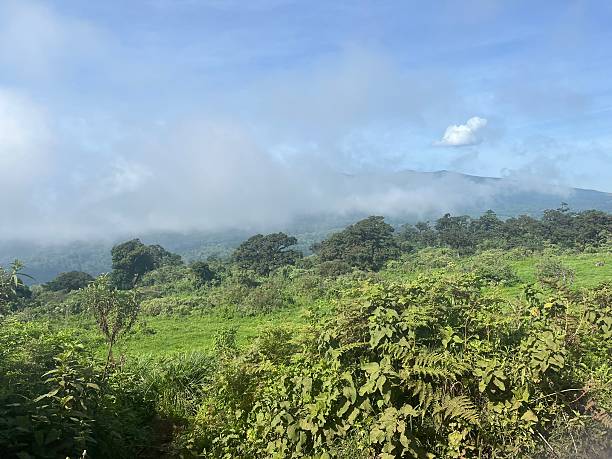Tanzania - Ngorongoro conservation area