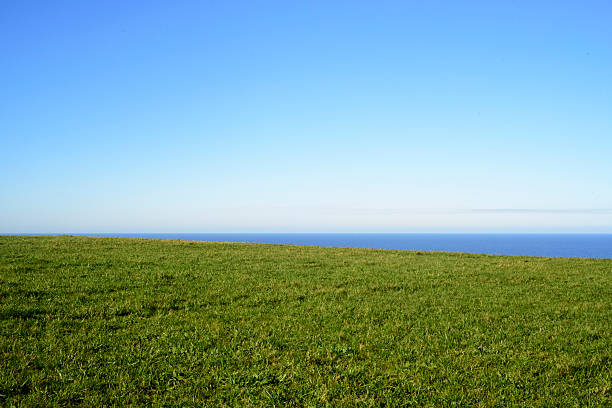 istock Sea horizon behind green field pasture 2210186371