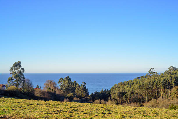 istock Sea horizon from meadow in farmland 2210186599
