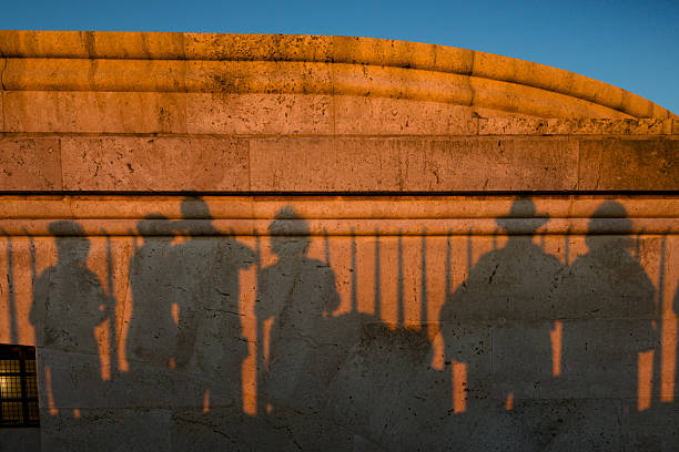 An abstract, high-angle composition of long human shadows cast on a grassy, sun-drenched path, with the legs of a person walking nearby.