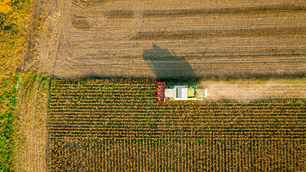 istock Aerial view on combine, harvester machine, harvest ripe maize 2210192890