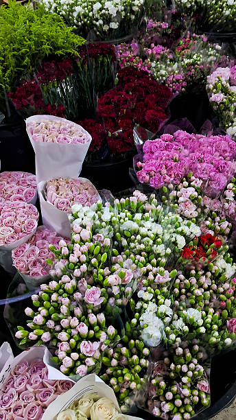 istock Fresh Cut Flowers at Florist 2210192894