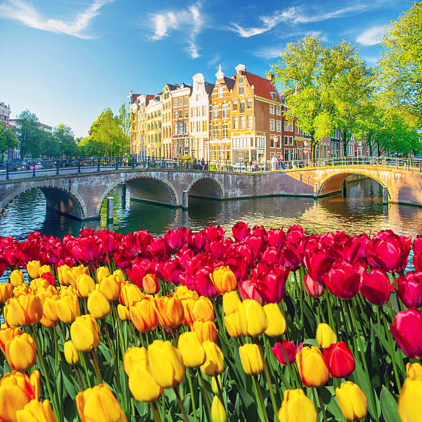 Houses and bridge in Amsterdam
