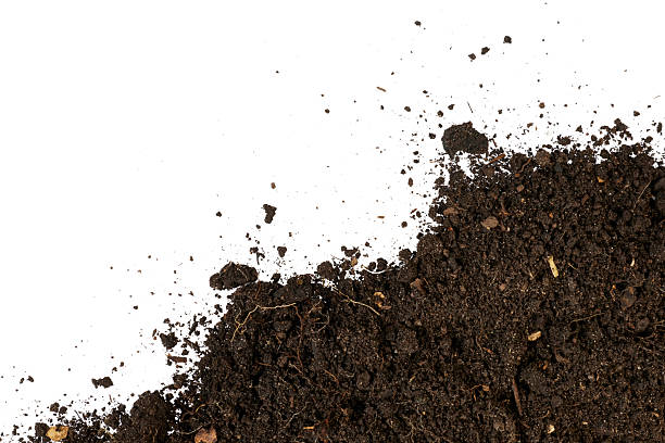 istock humus ground soil top view in border corner isolated on white 2210206714