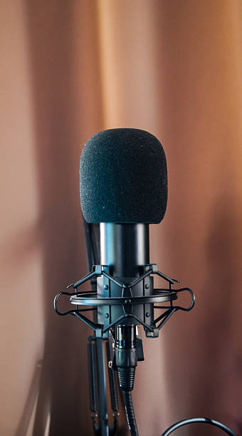 istock Close-up of a condenser microphone with wind protection on a fabric background 2210207479