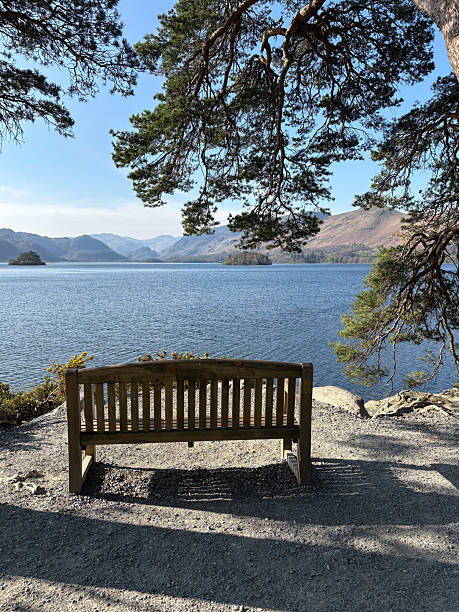 istock Wooden Bench At Lake Viewpoint 2210208260