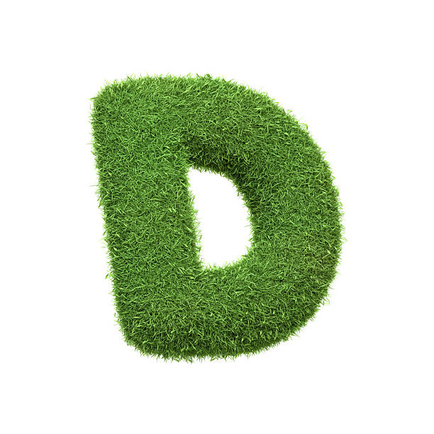 istock Capital letter D shaped from lush green grass, isolated on a white background 2210210752