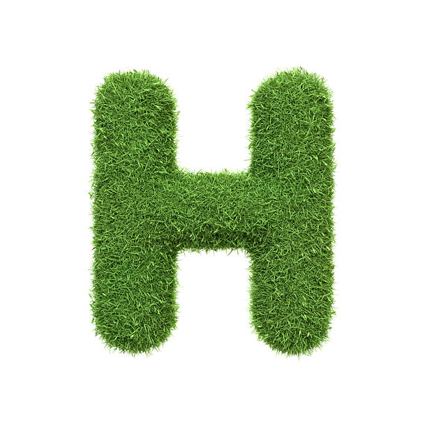 istock Capital letter H shaped from lush green grass, isolated on a white background 2210210754