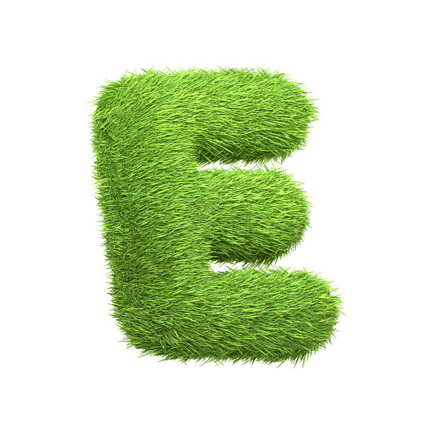 Capital letter E shaped from lush green grass, isolated on a white background