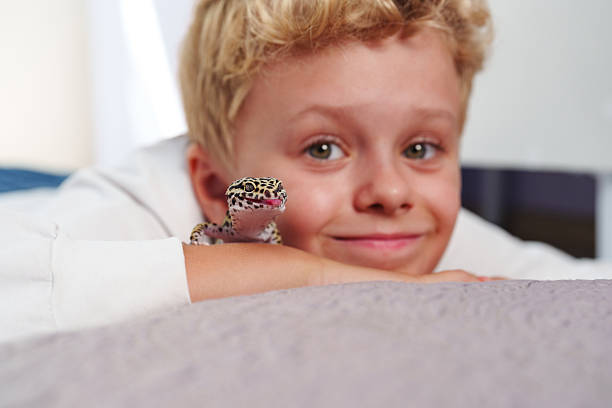 istock Young boy smiles while playing with a gecko in a cozy indoor setting on a sunny afternoon 2210214286