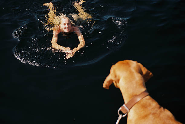 A woman swims toward a dog watching from a dock, both engaged in a moment of mutual connection and joy. Captured on 35mm film in deep, reflective water, the image highlights companionship, outdoor play, and the emotional bond between humans and animals — ideal for themes of friluftsliv, pet lifestyle, nature immersion, and summer freedom. Perfect for use in wellness, travel, animal care, and outdoor living campaigns.