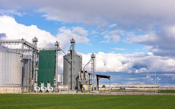 istock Silver silos on agro-processing and manufacturing plant for processing drying cleaning and storage of agricultural products, flour, cereals and grain. Granary elevator. 2210220006