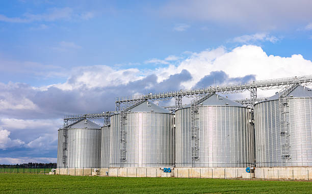 istock Silver silos on agro-processing and manufacturing plant for processing drying cleaning and storage of agricultural products, flour, cereals and grain. Granary elevator. 2210220351