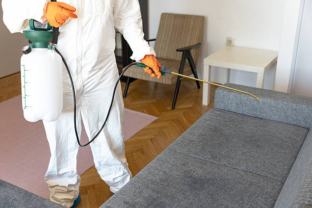 istock A professional pest control worker in protective gear spraying disinfectant or insecticide on a gray couch indoors 2210220897