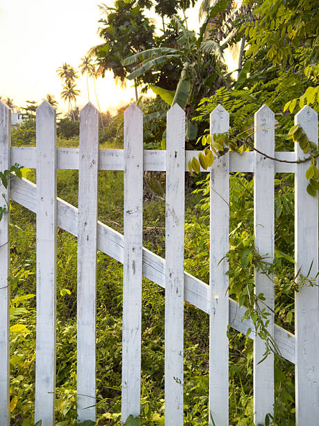 istock A white picket fence with a slanted top 2210223692