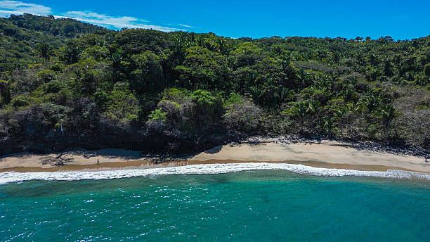 istock Aerial view of remote beach 2210225813