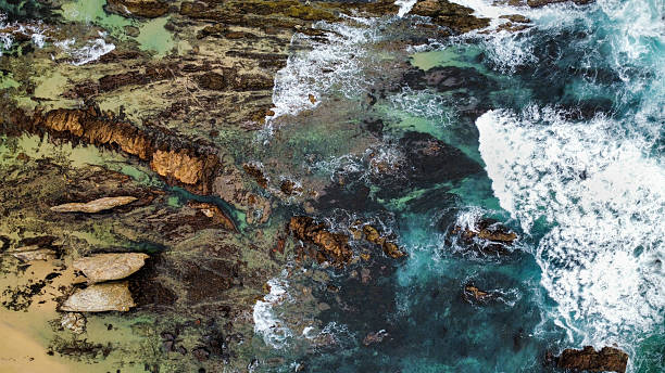 istock A rocky beach, seen from above 2210231353