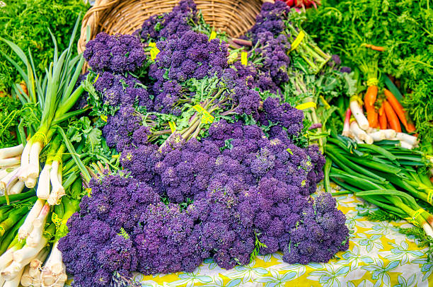 istock Fresh Farmer's market purple sprouting broccoli 2210231976
