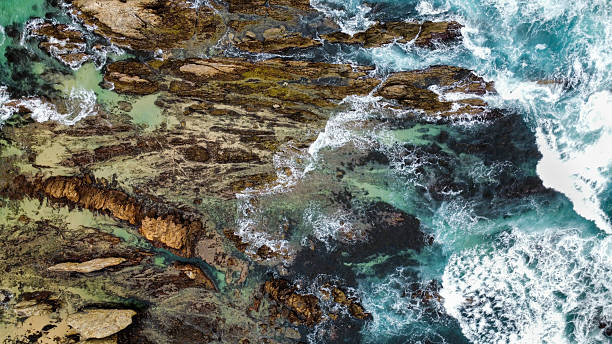 istock A rocky beach, seen from above 2210232481