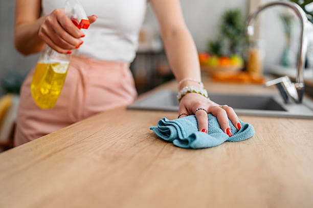 istock Young Woman Cleaning The Kitchen Counter 2210233275